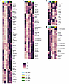 Gene expression of KEGG enriched pathways.