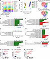 Metabolomics analysis confirms changes in xenobiotic metabolism and identif