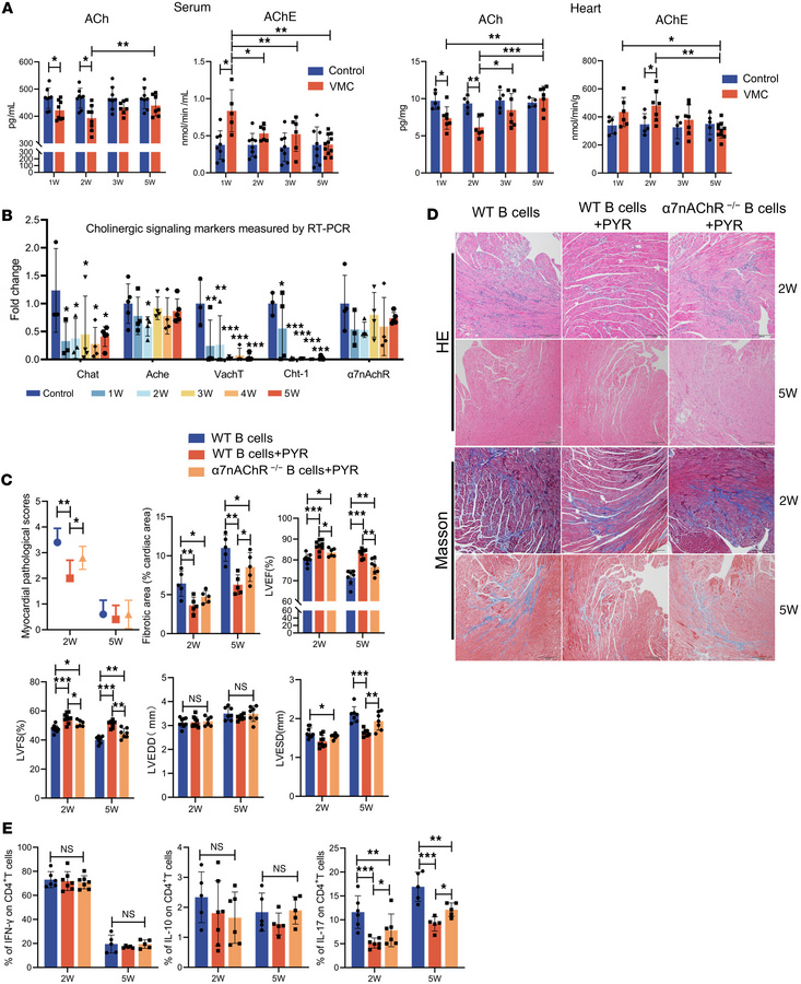 Improvement of cholinergic hypofunction to prevent VMC progression is as...
