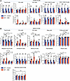 Distribution of main B cell subsets in spleen and heart during VMC progress