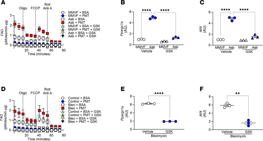 Pharmacological inhibition of PERK abrogates FAO in mice with establishe...