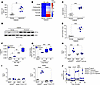 Asbestos-induced PERK activation mediates metabolic reprogramming.