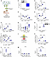 PERK activates PGC-1α by increasing ATF4 in lung macrophages.