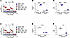 Pharmacological inhibition of PERK abrogates FAO in mice with established f
