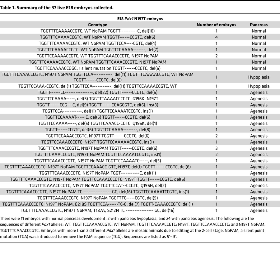 Summary of the 37 live E18 embryos collected.