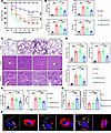 IRF7 overexpression improves sepsis.