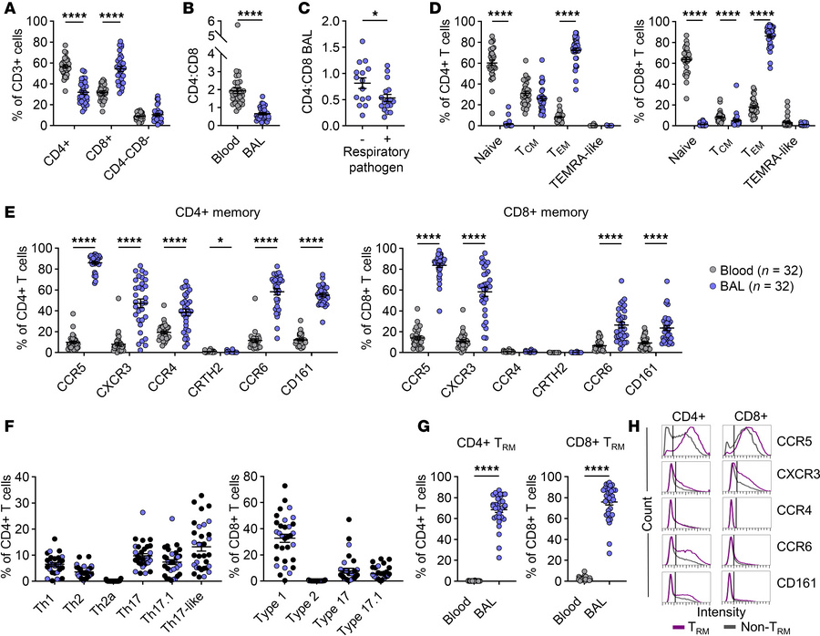 Mixtures of type 1 and type 17 signatures dominate the T cell landscape ...