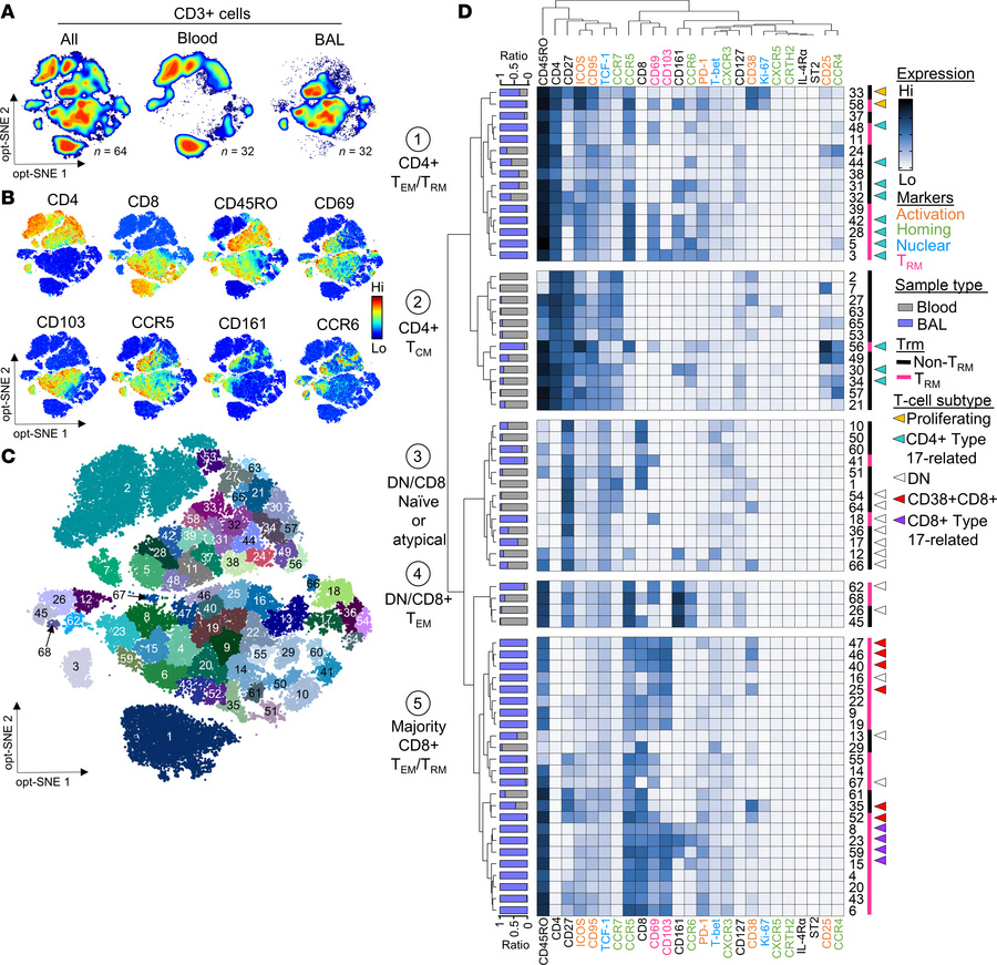 High-dimensional analysis reveals the complexity of the T cell landscape...