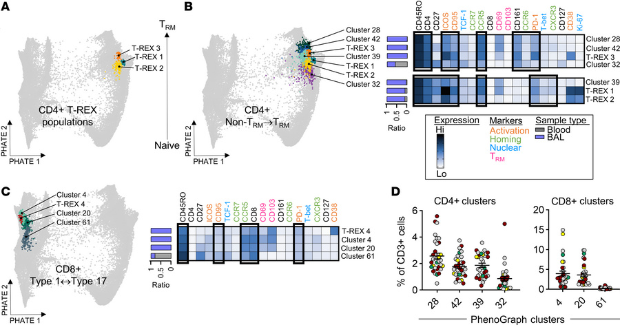 RV-related signatures map to T cell differentiation pathways in the lowe...