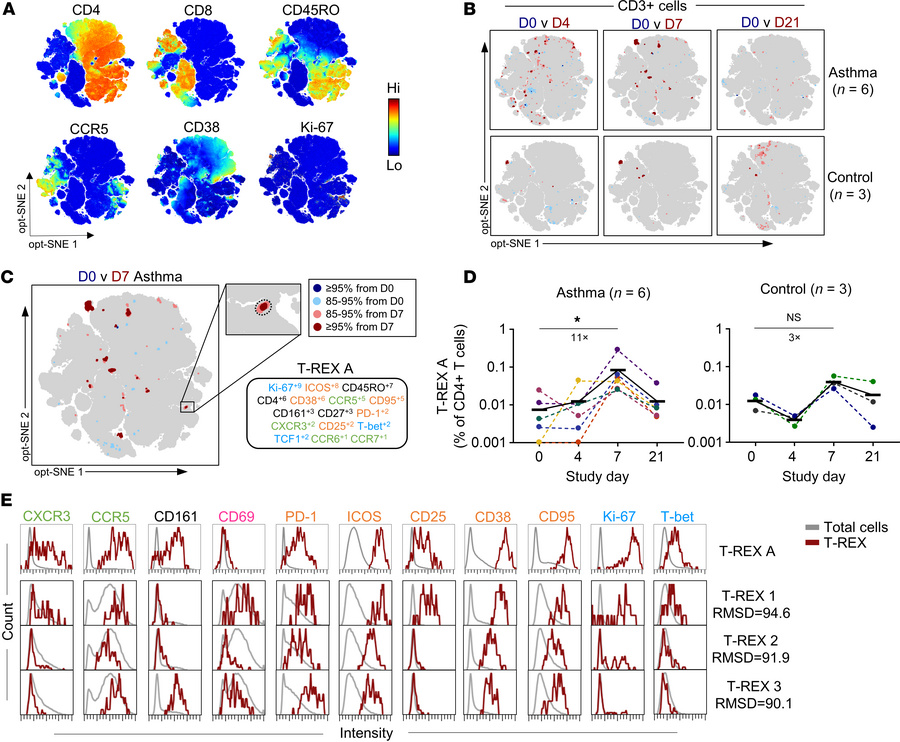 T cell signatures enriched in the lower airways of RV+ children display ...