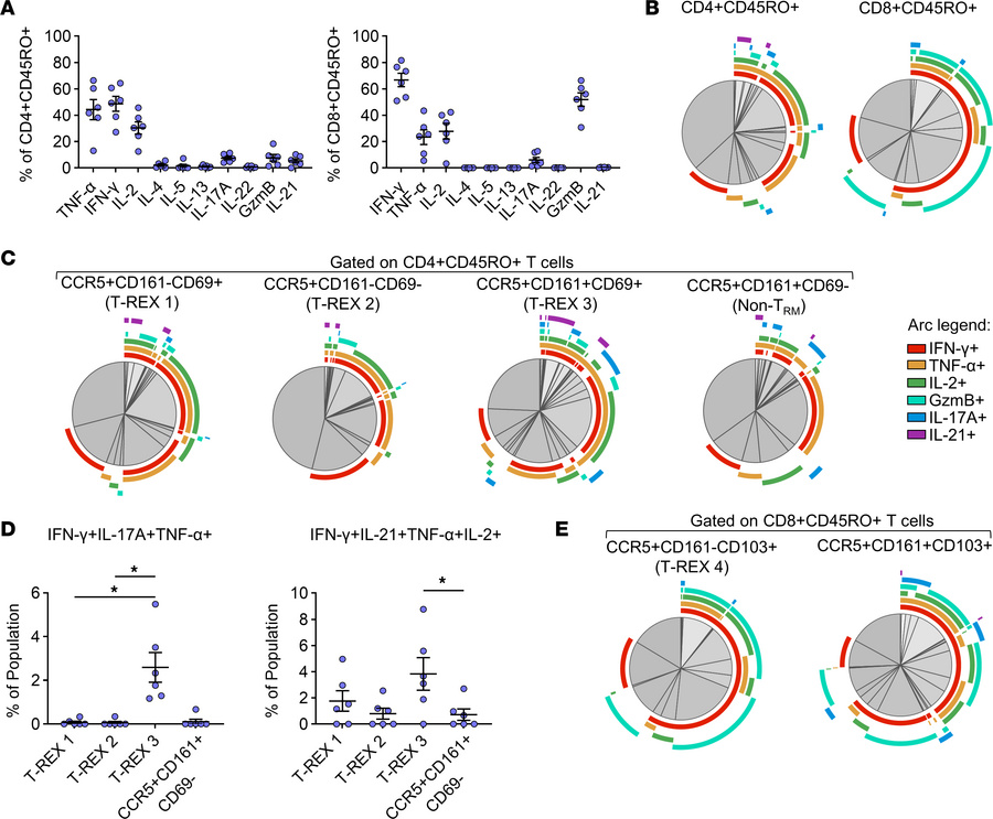 Polyfunctional T cells populate the lower airways of children with recur...