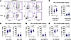 Respiratory pathogens are linked to increased T cell activation in the lowe