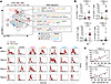T-REX analysis reveals activated T cell signatures linked to RV infection i