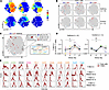 T cell signatures enriched in the lower airways of RV+ children display RV-