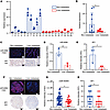 MiR-6084 is correlated with liver metastasis of patients with CRC.