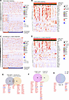 CD73 loss drives expression of a distinct subset of Wnt–TCF/LEF target gene