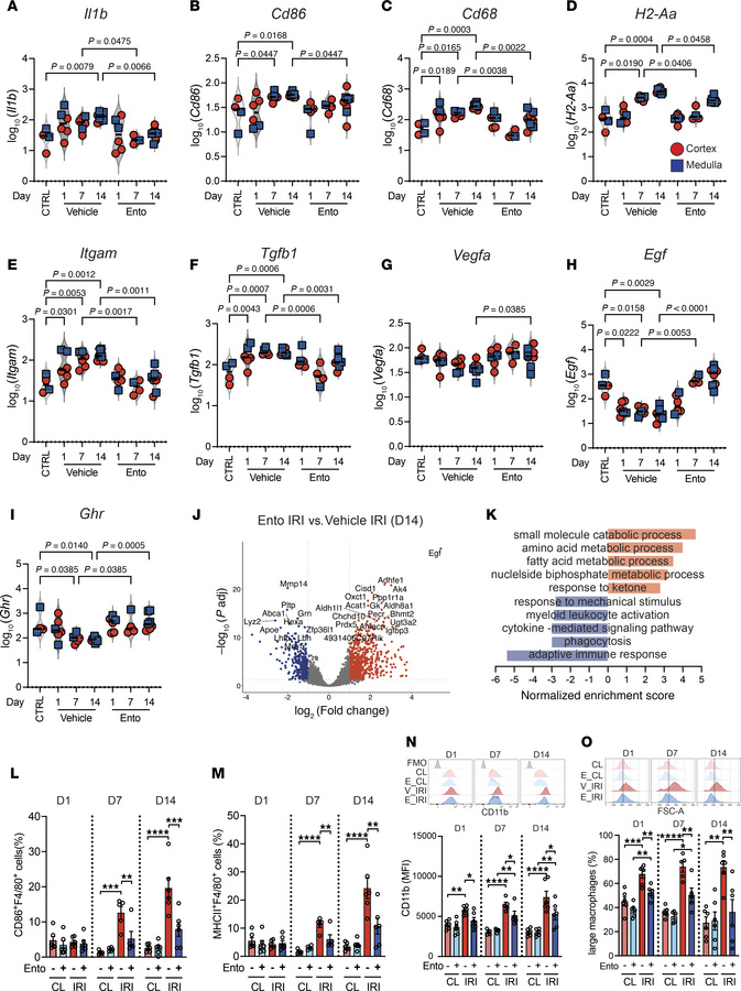 Entospletinib’s effects on macrophage gene expression.
Digital spatial p...