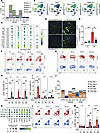 Entospletinib’s effects on kidney immune cell populations.
