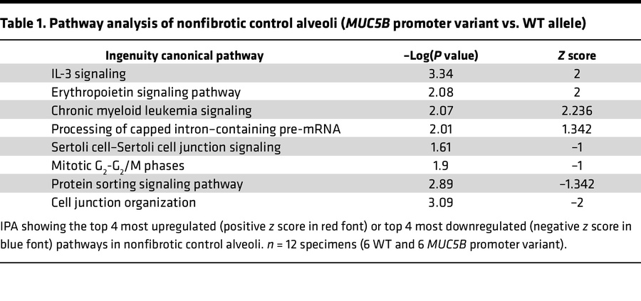 Pathway analysis of nonfibrotic control alveoli (MUC5B promoter variant ...