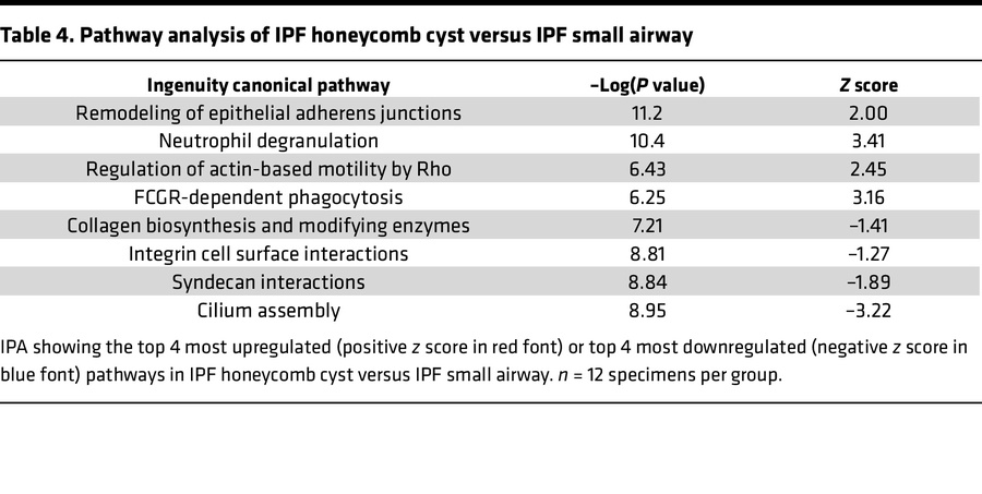 Pathway analysis of IPF honeycomb cyst versus IPF small airway