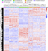 The histopathological lesions of IPF uniquely cluster.