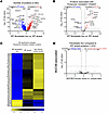 IPF fibroblastic foci (FF) are defined by increased translational control.