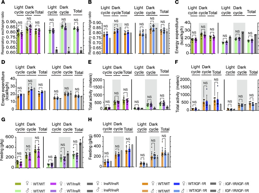 Metabolic rate of InsRR1109C and IGF-1RR1096C heterozygous mice.
(A and ...