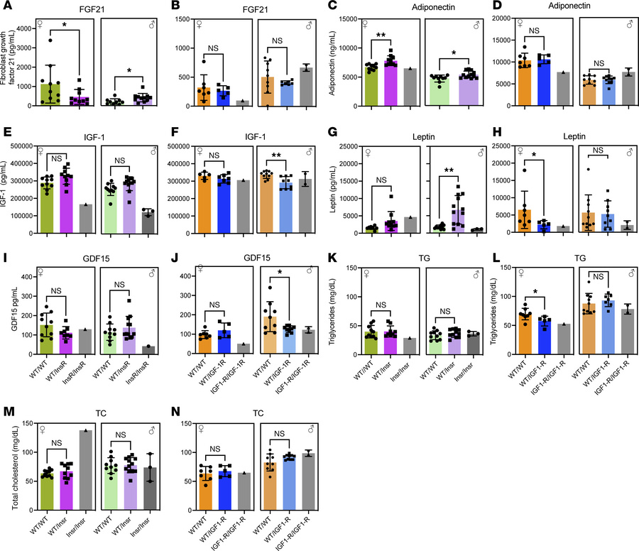 Hormonal and metabolite profiles in InsRR1109C and IGF-1RR1096C heterozy...