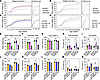 Effect of InsRR1109C and IGF-1RR1096C substitutions on growth rate.
