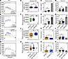 Glycated hemoglobin in InsRR1109C and IGF-1RR1096C heterozygous mice.