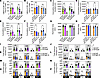 Neuromuscular function in InsRR1109C and IGF-1RR1096C heterozygous mice.