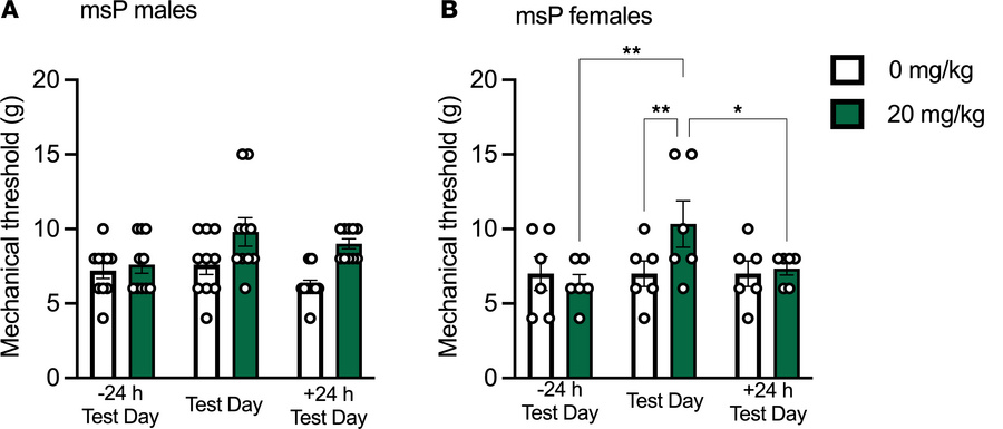 Apremilast reduces mechanical allodynia into protracted alcohol abstinen...