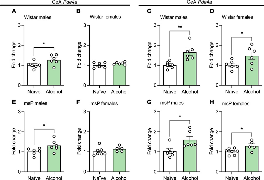 CeA Pde4a and -4b transcript levels are increased by chronic alcohol exp...