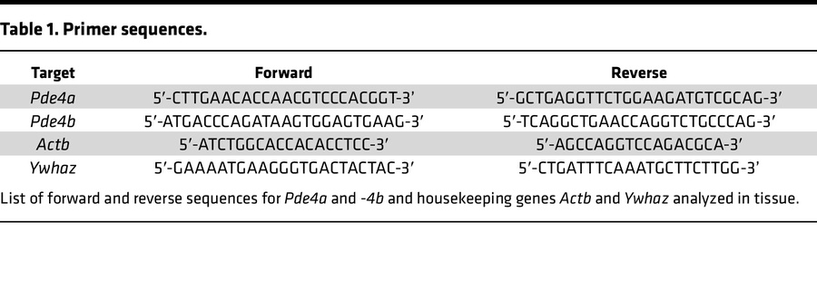 Primer sequences.