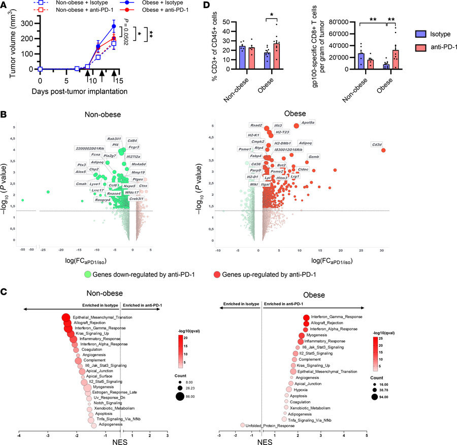 Obesity confers sensitivity to anti–PD-1 treatment in mice bearing B16-F...
