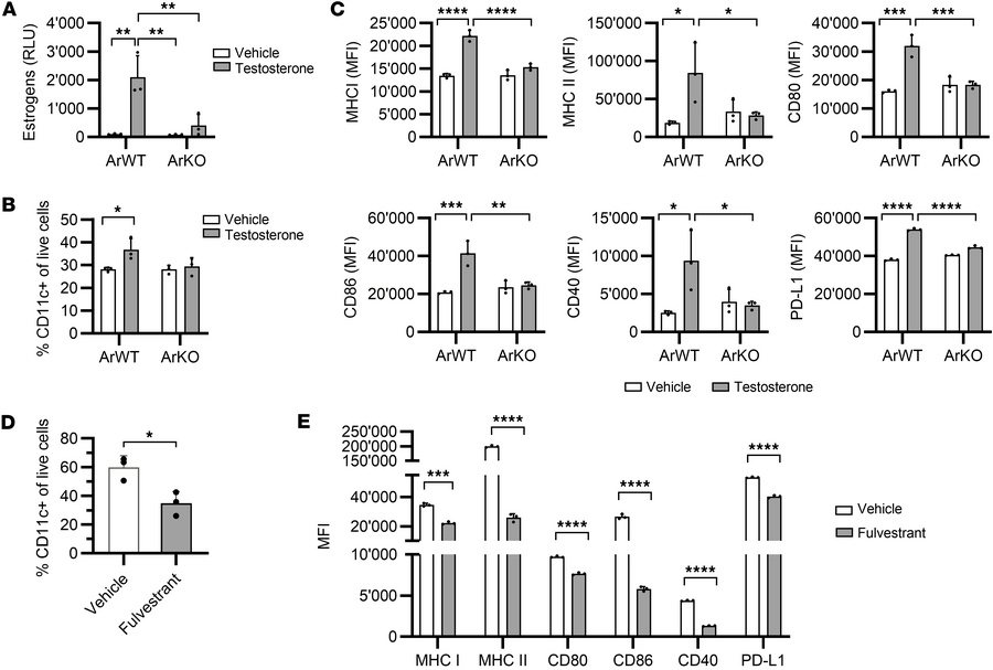 Adipocyte-derived estrogens enhance the differentiation of dendritic cel...