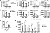 Adipocyte-derived estrogens enhance the differentiation of dendritic cells.