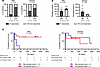 High levels of estrogens are associated with improved survival in men with