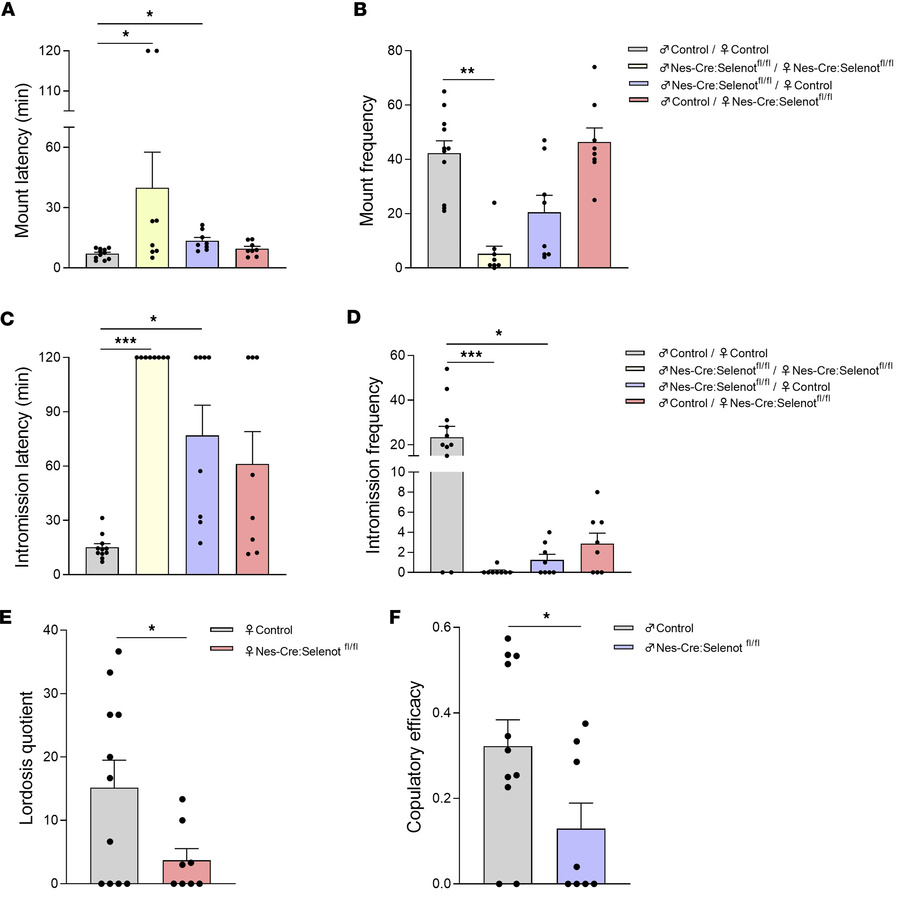 Sexual behavior of brain SELENOT–deficient mice.
(A) Mount latency is re...