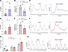 LH circulating levels and estrous cyclicity in brain SELENOT–deficient mice