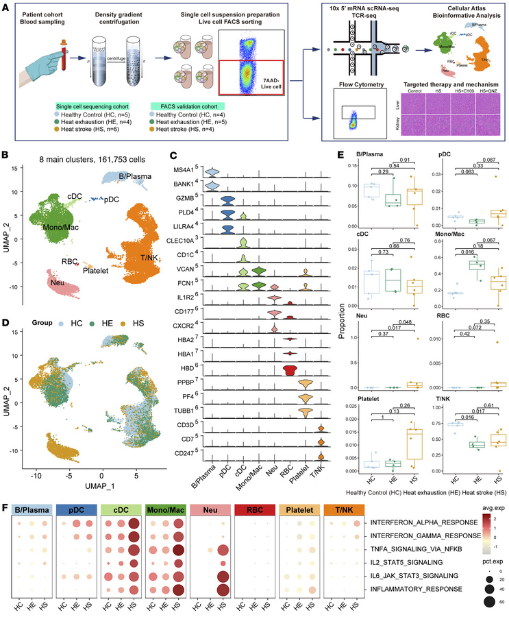 Global analysis of immune cell populations in PBMCs from patients with H...