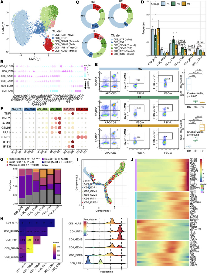 Characterization of HS-associated CD8+ T cells with high cytotoxic effec...