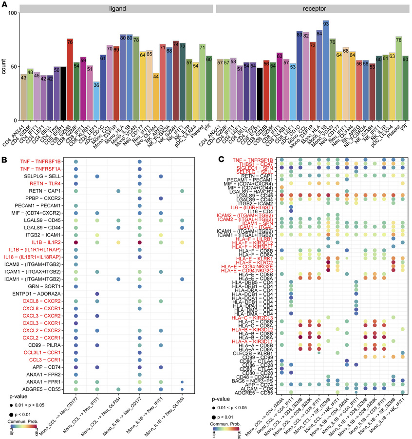 Cellular interactions and potential therapeutic targets in HS.
(A) Bar p...