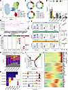 Characterization of HS-associated CD8+ T cells with high cytotoxic effector