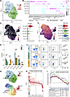 Characterization of HS-associated CD4+ T cells with cytotoxic effector feat