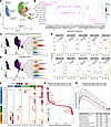 Characterization of HS-associated myeloid cells with prominent inflammasome