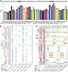 Cellular interactions and potential therapeutic targets in HS.