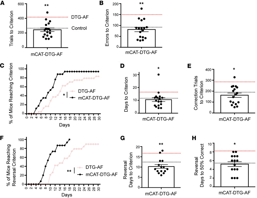 Impaired visual learning and cognitive flexibility in DTG-AF mice rescua...