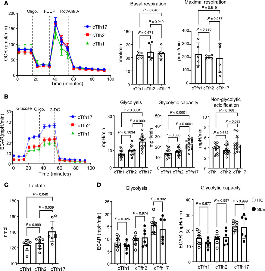 Increased glycolysis in cTfh17 cells.
cTfh subsets (cTfh1, cTfh2, and cT...
