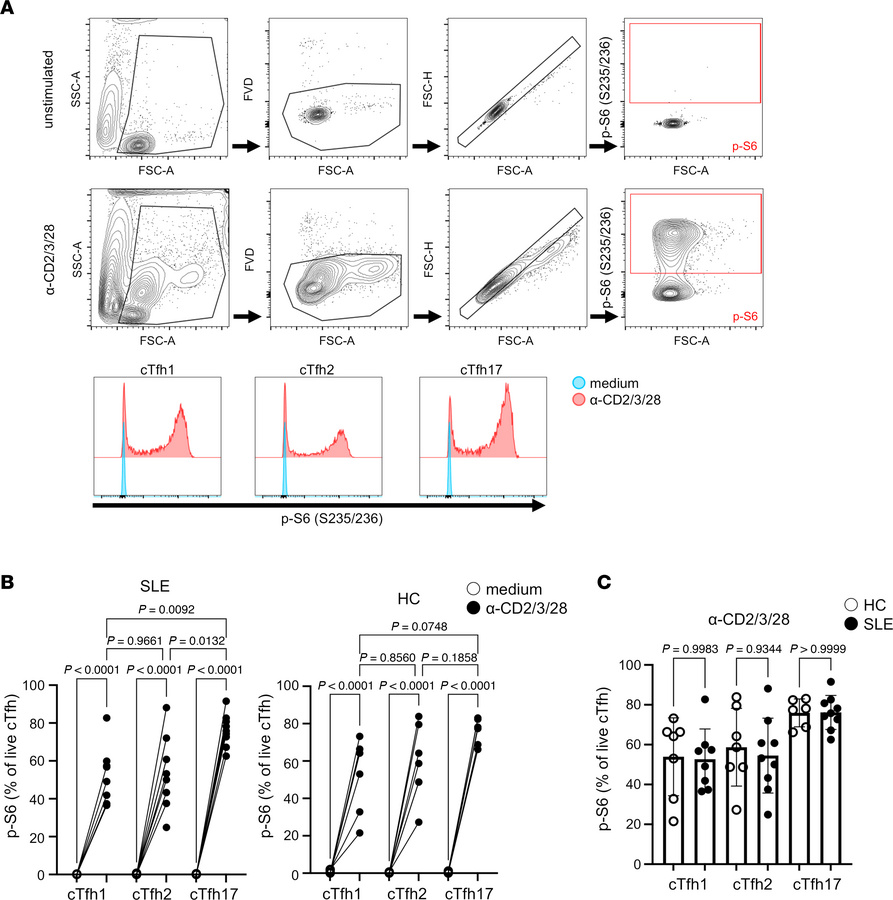 Increased mTOR activity in cTfh17 cells.
cTfh subsets were isolated from...